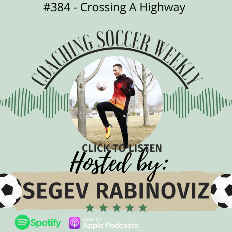 #384 – Crossing A Highway