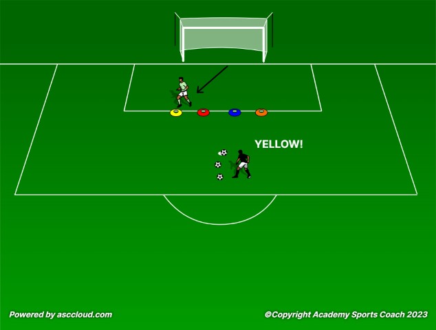 Activities for Developing Quick Feet and Reactions