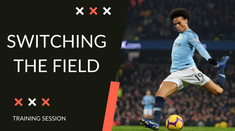 A Training Session on Switching the Field